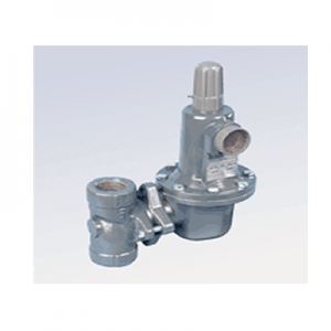 LPG/Natural Gas Pressure Regulator 2 inch Threaded